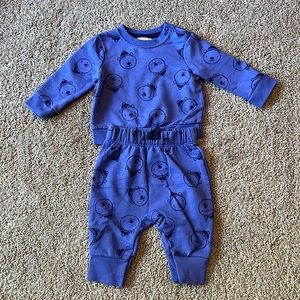 Cat & Jack Sweatsuit Outfit with Polar Bears